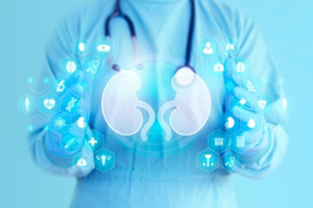 Urological healthcare concept, digital technology in medicine. Doctor on sky blue background with kidneys icon.