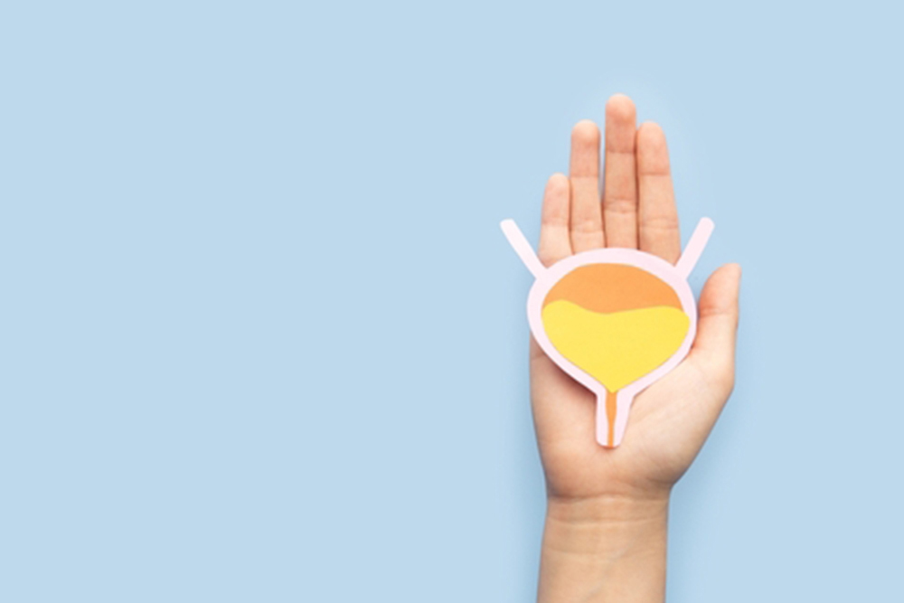 Woman hands holding bladder organ shape made from paper on light blue background. Awareness of bladder cancer, urinary tract infection, urinary incontinence and overactive bladder.