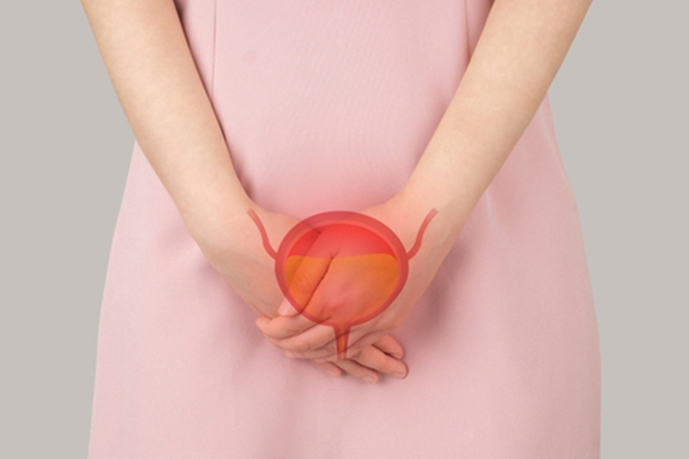 Bladder with urine illustration on female body against gray background. Woman have bladder problems include urinary tract infections, urinary incontinence or urinary retention. Human urinary system.